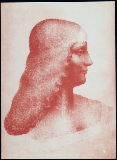 Hoofd van een vrouw in profiel door Leonardo da Vinci